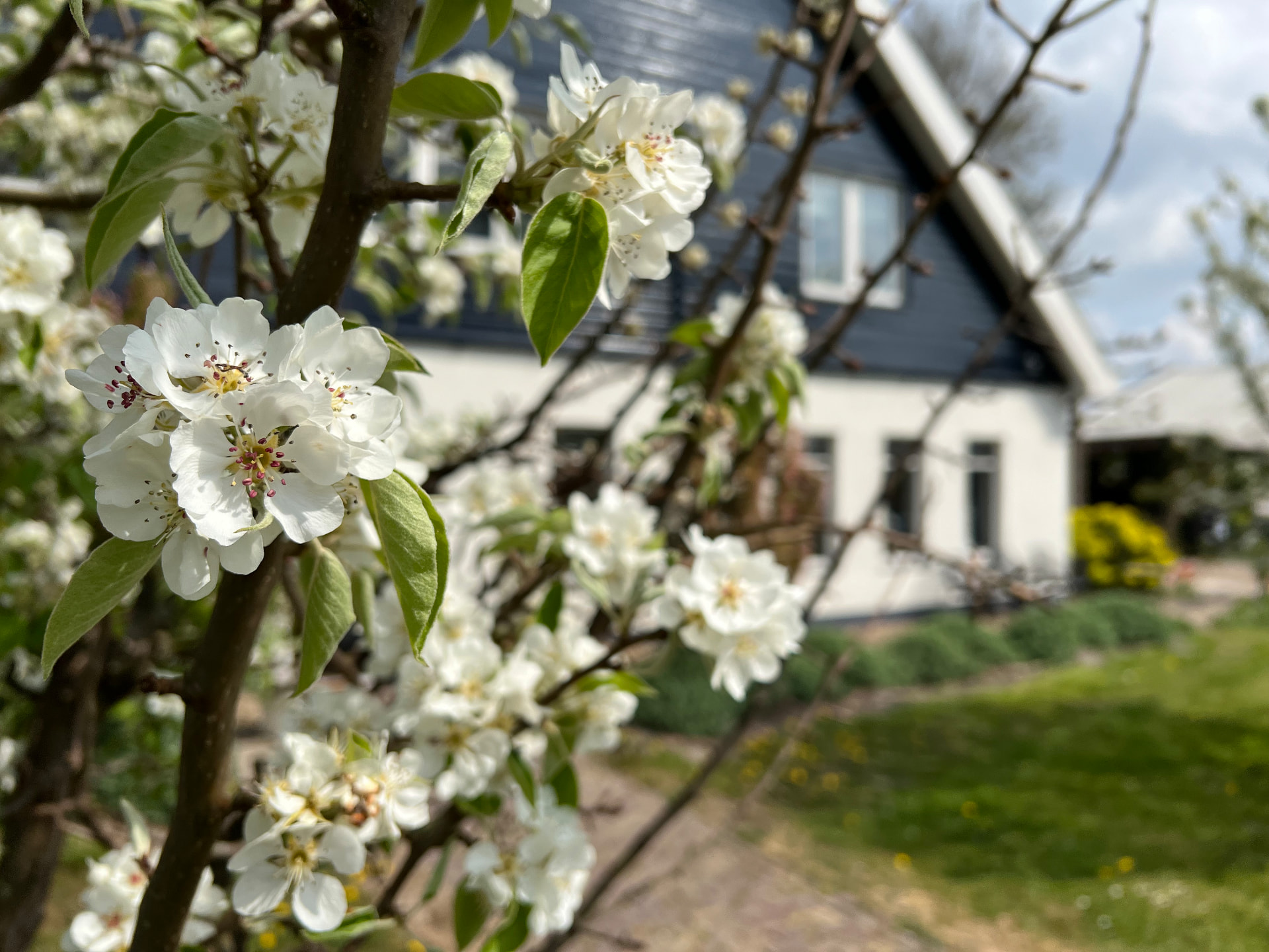 Huis aan de Kanaalweg in Assendelft waar je bestelling ophaalt